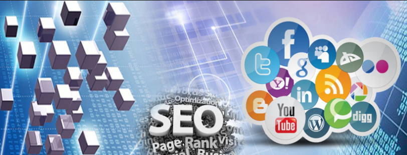 Role Of White Label SEO Services In Promoting Your Business Brand