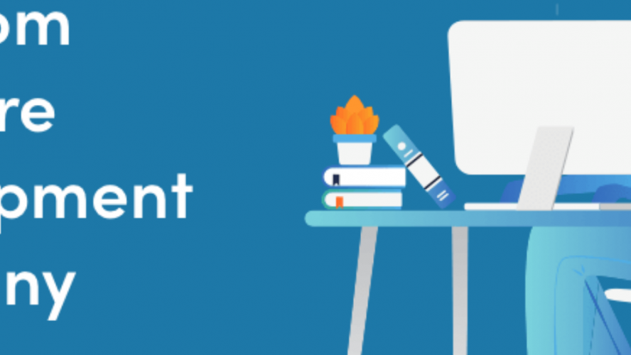 Benefits of Using the Customized Software Development