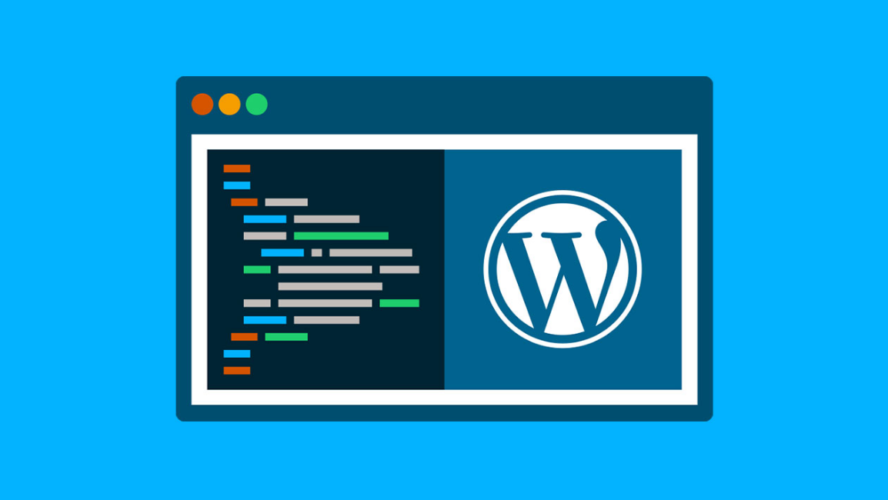 Role of Professional Developers in WordPress Theme Development